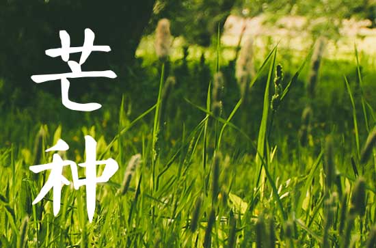 2023年芒种是几月几号几点几分 今年芒种具体时间