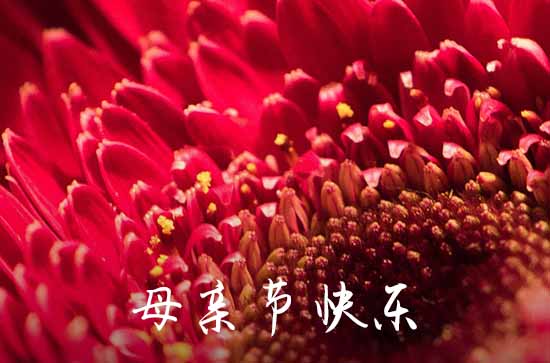 2023年精选温馨母亲节祝福语集合30条