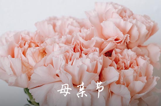 2023年精选母亲节祝福问候语摘录65句 2023年精选母亲节祝福问候语摘录65句