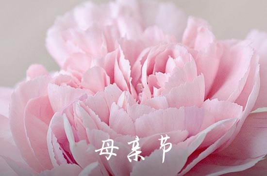 2023年母亲节祝福问候语微信摘录26句 2023年母亲节祝福问候语微信摘录26句