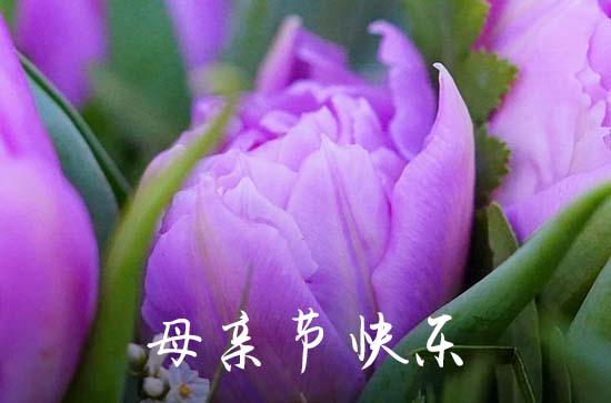 2023年母亲节微信祝福语摘录74句 2023年母亲节微信祝福语摘录74句