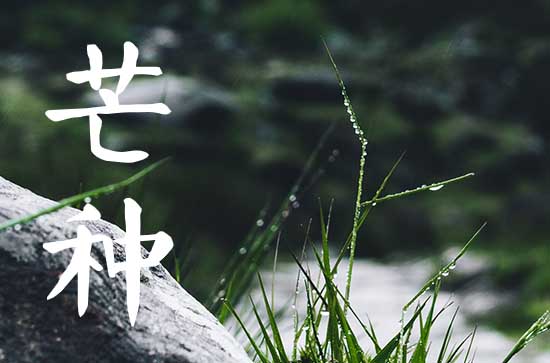 2023年芒种的来历和风俗 芒种节气的传统习俗