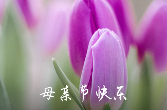 2023年母亲节的祝愿语 2023年母亲节的祝愿语
