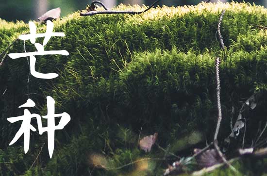 2023年芒种节气的祝福词（30条）