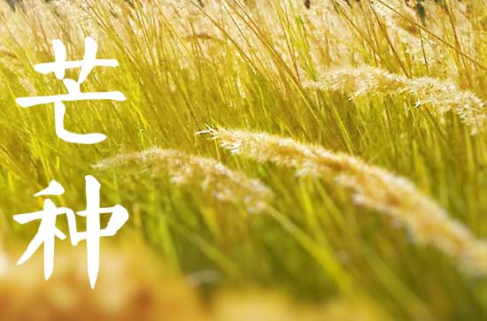 2023年芒种是夏季的第几个节气 芒种节气是夏天吗