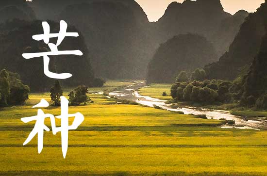 2023年芒种后九天是什么时候 芒种是几月几号 2023年芒种后九天是什么时候 芒种是几月几号