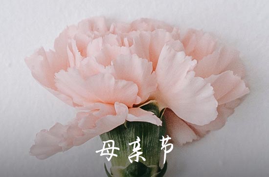 2023年精选感人母亲节祝福语40句