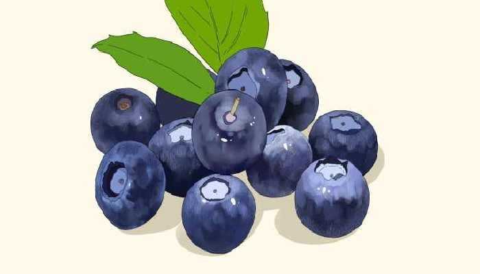 每天吃一盒蓝莓会发生什么 蓝莓一天吃多少为宜