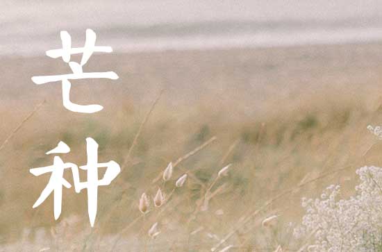 2023年芒种节气的祝福词50句