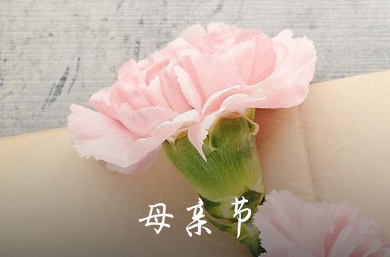 温馨的母亲节祝福语大全2023 温馨的母亲节祝福语大全2023