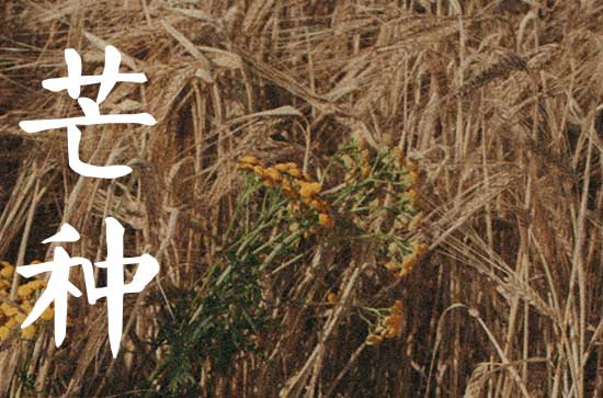 2023年芒种节气的含义 芒种此节气的气候特点