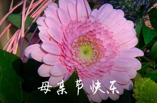 2023年感人母亲节祝福语QQ合集34句 2023年感人母亲节祝福语QQ合集34句