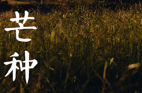 2023年芒种忌讳什么 芒种时节饮食上有什么禁忌吗 2023年芒种忌讳什么 芒种时节饮食上有什么禁忌吗