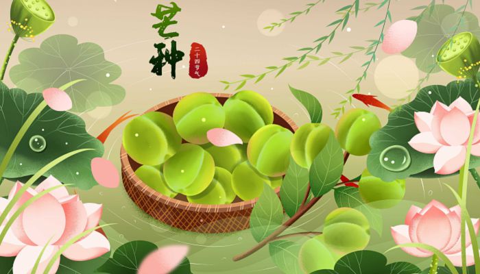 2023芒种是哪一天的什么时候 2023芒种是几月几号几点几分几秒