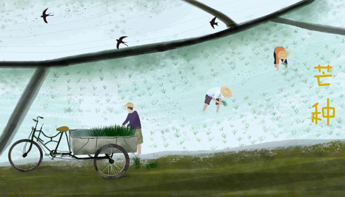 2023芒种是好日子吗 2023芒种是黄道吉日吗