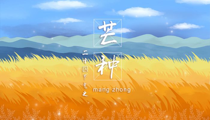 2023年芒种的具体时间 2023年芒种一共几天