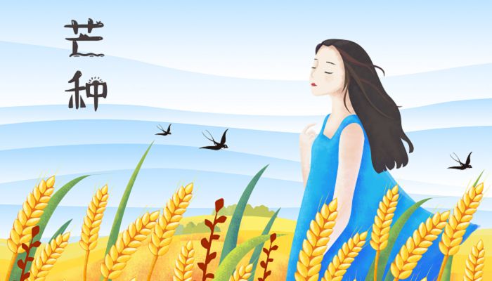 2023年芒种时间 2023年多少号芒种