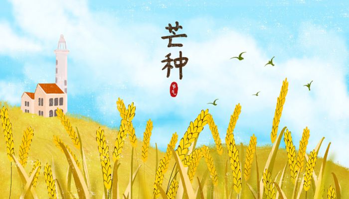 2023年芒种的具体时间 2023年芒种一共几天