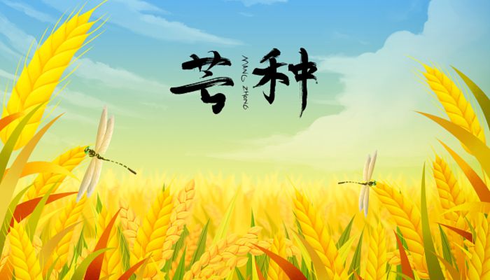 2023芒种节气在什么时候 2023芒种有几天