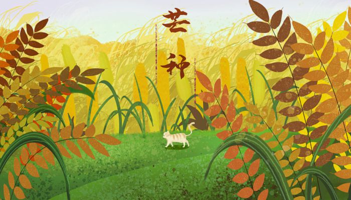 2023年芒种几点不出门 2023年芒种什么时候适合出行