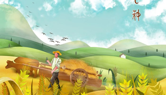 2023年芒种几点不出门 2023年芒种什么时候适合出行