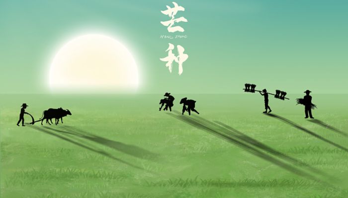 2023年芒种是几月几号 2023芒种美好寓意是什么