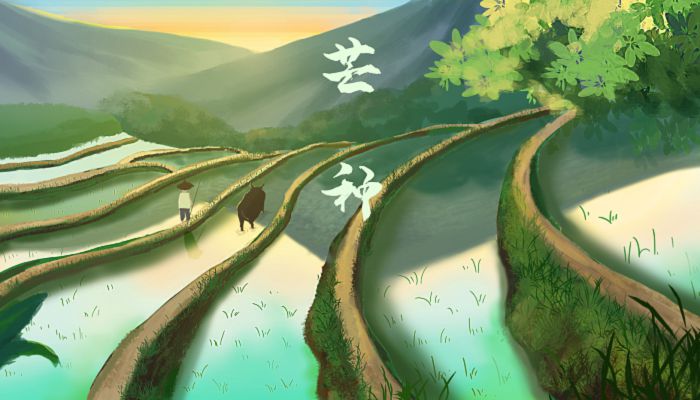 2023年芒种是几月几日几点 2023年芒种是哪一天