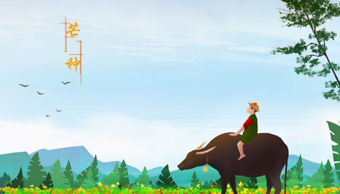 2023年芒种是几月几日几点 2023年芒种是哪一天