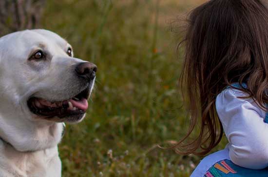 2023六一节的祝福语 儿童节搞笑祝福语 2023六一节的祝福语 儿童节搞笑祝福语