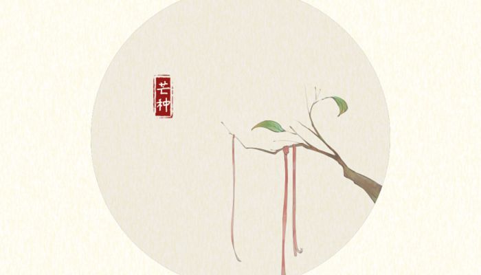 2023年6月6日是什么节气 2023年6月6日节气具体时间