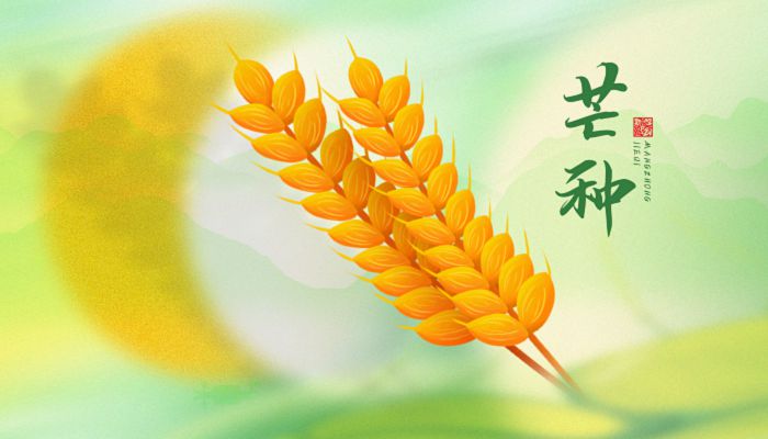2023芒种是什么时候 2023年芒种是哪天