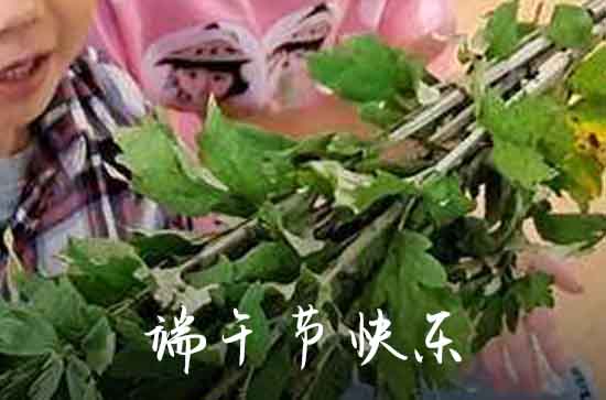 2023端午节祝福语 端午节微信祝福语大全 2023端午节祝福语 端午节微信祝福语大全