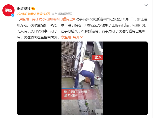 微信截图_20230510002631