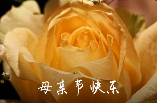 母亲节给妈妈发多少红包吉利