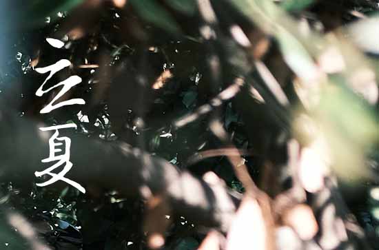 2023年夏天最热多少度 夏天很热吃什么解暑