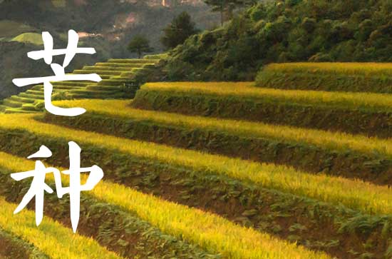 二十四节气2023年芒种节气祝福贺词 二十四节气2023年芒种节气祝福贺词