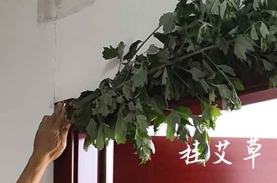 2023端午节祝福语 端午节微信短信祝福语大全