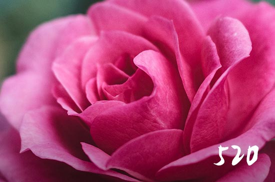 520追女朋友的爱情短信2023 520追女朋友的爱情短信2023