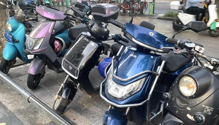 十大电动车品牌排行榜 电动车十大品牌排行榜