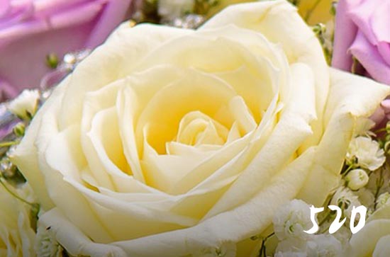 2023浪漫爱情520祝福语 2023浪漫爱情520祝福语