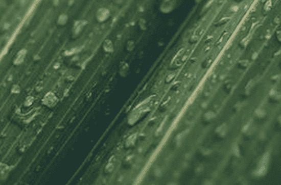 2023谷雨具体时间