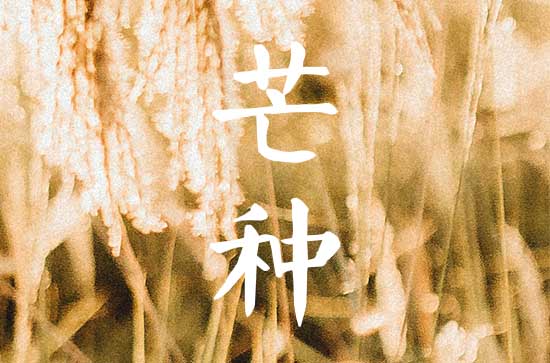 2023芒种是哪一天的什么时候 2023芒种是几月几号几点几分几秒 2023芒种是哪一天的什么时候 2023芒种是几月几号几点几分几秒