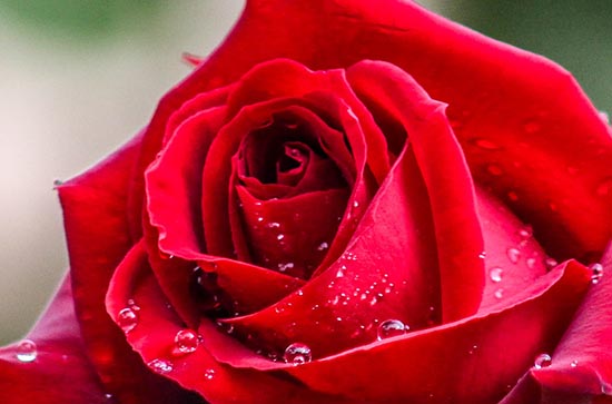 2023网络情人节在哪一天 2023网络情人节是什么时候