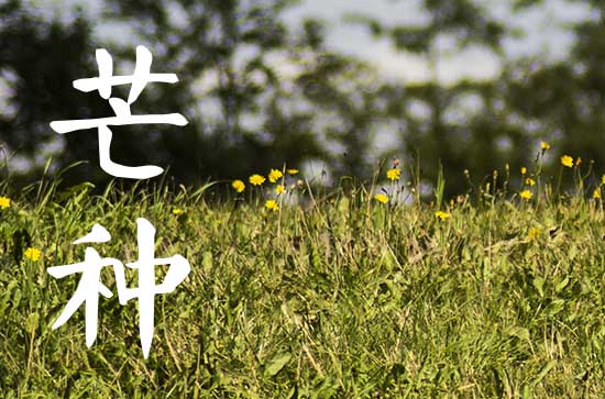 2023年芒种时间 2023年多少号芒种 2023年芒种时间 2023年多少号芒种