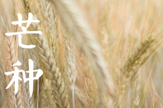 2023安苗节是几月几日 安苗节的由来及习俗