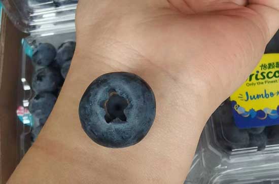 蓝莓12mm和14mm是什么意思 蓝莓12mm和14mm相差多少 蓝莓12mm和14mm是什么意思 蓝莓12mm和14mm相差多少