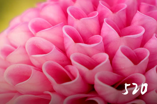 520给男朋友发多少红包合适 520给男朋友发多少红包合适