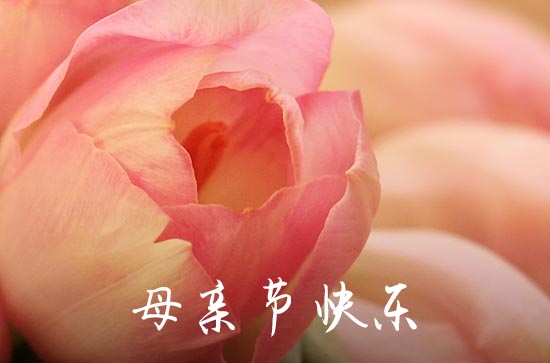 母亲节怀念已故母亲朋友圈 母亲节怀念已故母亲的说说 母亲节怀念已故母亲朋友圈 母亲节怀念已故母亲的说说