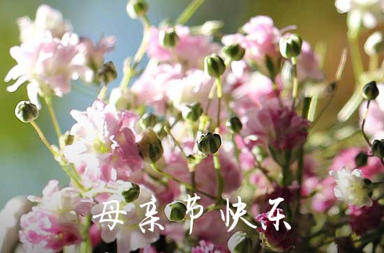 母亲节想念过世妈妈的说说 母亲节想念天堂母亲的好句子