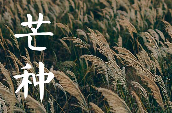 芒种节气吃什么传统食物 芒种吃什么民间传统食物